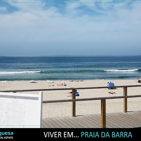 Ocean View With Free Parking Apartment *