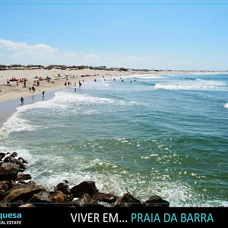 Ocean View With Free Parking Apartment Barra